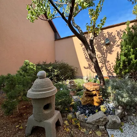 Janka シオーフォク