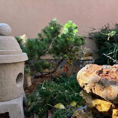 Janka シオーフォク